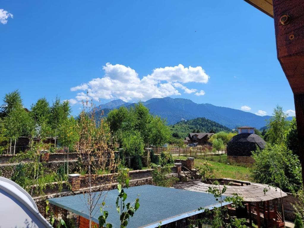 Casa Cu Mesteceni ริชนอฟ ภายนอก รูปภาพ